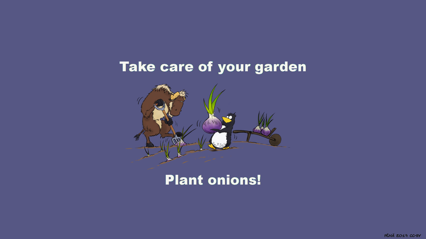 Image for Plant Onions